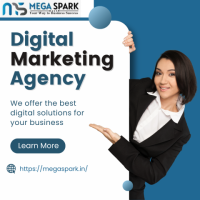 Delhi's Best Digital Marketing Company is MegaSpark 