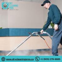 Area Rug Cleaning Mississauga|Dry Cleaning Pros