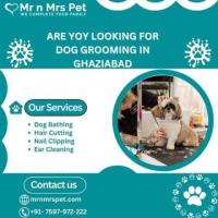 Are You Looking For Dog Grooming in Ghaziabad 