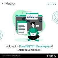 Looking for FreeSWITCH Developers & Custom Solutions?