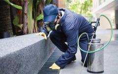 BBPP Best Pest Control Service Richmond Hill – Free Consultation with us B.B.P.P.