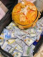 How can I join real ritual money occult without human blood in Germany +2347038116588