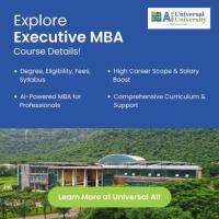 Executive MBA Course Details: Degree, Fees, Syllabus - Universal AI