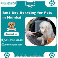 The Best Day Boarding For Pets in Mumbai