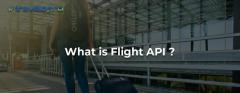 Flight API 