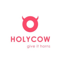 Top-Notch Training Video Production Companies: Choose HolyCow