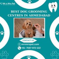 The Best Dog Grooming Centres in Ahmedabad