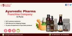 Ayurvedic Pharma Franchise Company in Pune