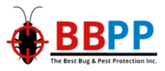 BBPP Pest Control - Wasp Removal Service Vaughan - Free quote