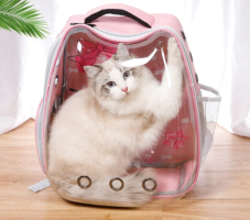 Trendy Clear Cat Backpacks from Clear Moda