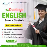 Finding the Best Duolingo Coaching in Chandigarh: A Complete Guide