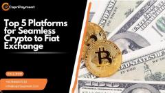 Top 5 Platforms for Seamless Crypto to Fiat Exchange