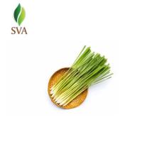 Top Lemongrass Essential Oil Exporter | SVA 