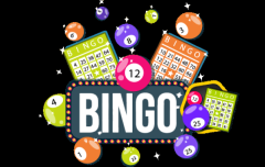  Hire Bingo Game Development Company in The USA