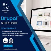 Transform Your Business with Sleek Drupal Development Services