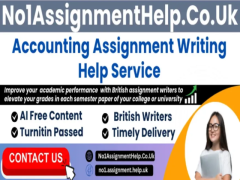 Accounting Assignment Writing Help