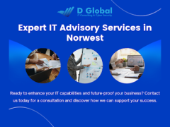 Expert IT Advisory Services in Norwest