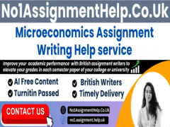 Microeconomics Assignment Help