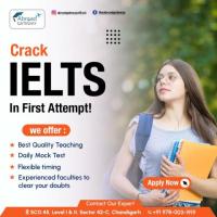 The Journey to Success Starts at the Best IELTS Centre in Chandigarh