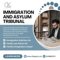 Navigating the Immigration and Asylum Tribunal