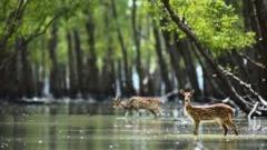 SUNDARBAN GROUP TOUR PACKAGE