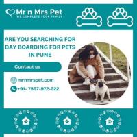 The Best Day Boarding For Pets in Pune