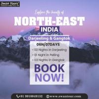 Places to Visit in Northeast India If You Are Planning a 7-Day Trip