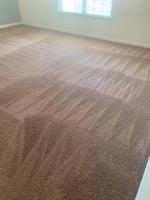 Comprehensive Carpet Cleaning in Charlotte NC