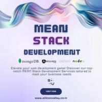 Discover Robust MEAN Stack Development Services Today!