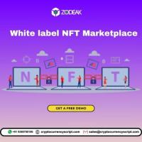 White label NFT Marketplace