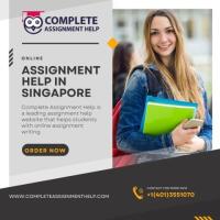 Assignment Help Singapore eases pressure in academics