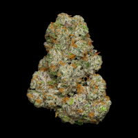 [Premium] Sugar Glue - Indica