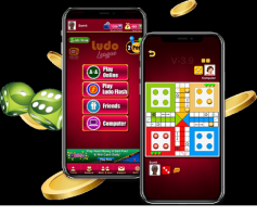 How to Start a Profitable Ludo Game Business?