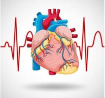 Leading Heart Surgery Care – Ruby Hospital