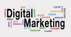  digital marketing company in Udaipur