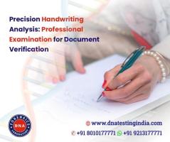 Precision Handwriting Analysis: Professional Examination for Document Verification