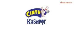 chintu chocolate distributorship