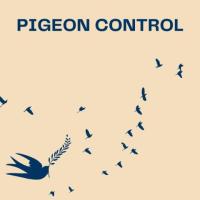 Pigeon control