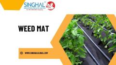 Efficient Weed Management with Weed Control Mats: A Comprehensive Guide