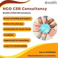 Why Every Company Needs NGO CSR Consultancy Services in 2024?