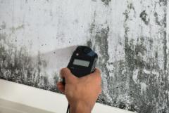 Reliable Mold Inspection Services in Dallas