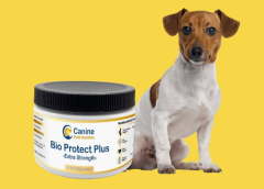 Bio Protect Plus How TO USE?