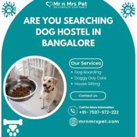 Best Dog Hostel in Bangalore