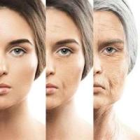 Revitalize Your Skin with Proven Anti Aging Solutions