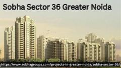  Sobha Sector 36 Greater Noida | Luxury Apartments for sale