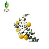 Best Price for Bulk Organic Essential Oils | SVA 