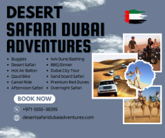 Evening Desert Safari Dubai +971 55 553 8395