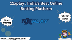 11xplay : India's Best Online Betting Platform