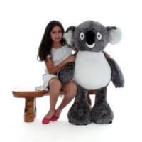 Cute Stuffed Koala at Giant Teddy