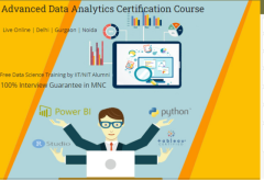 Data Analyst Course in Delhi, 110066. Best Online Live Data Analyst by IIT Faculty , 100% Job